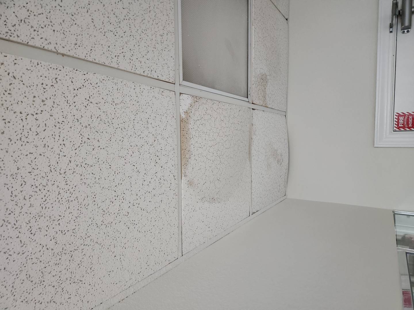 Lobby Hall Ceiling 2